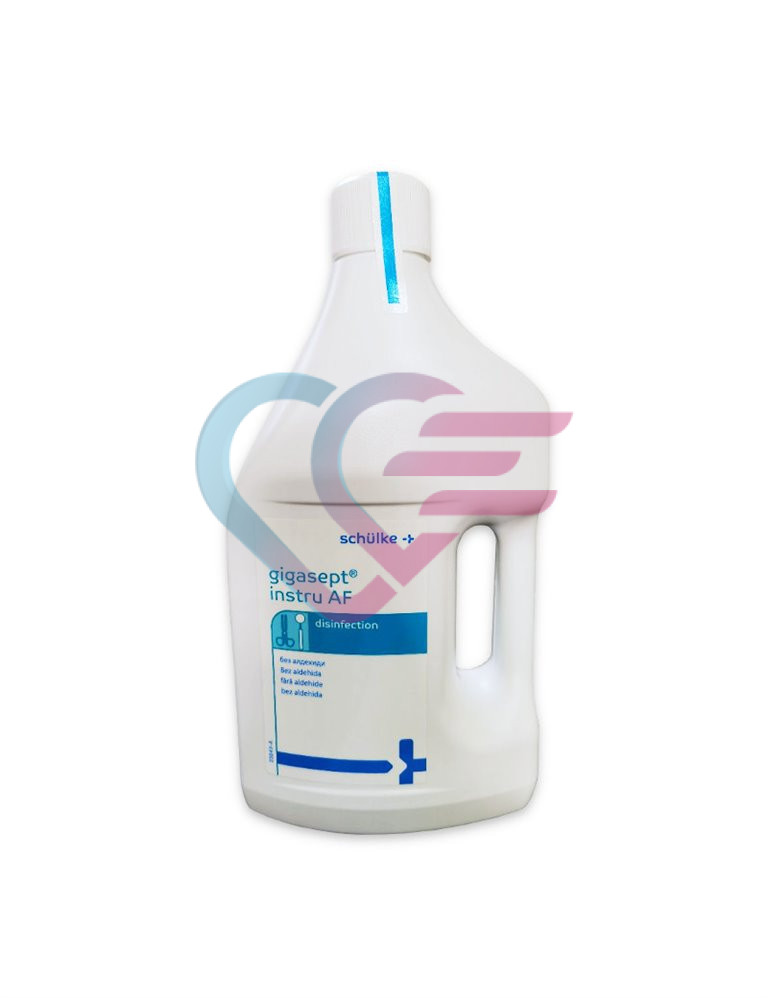 Gigasept instru AF 2l, slika 1