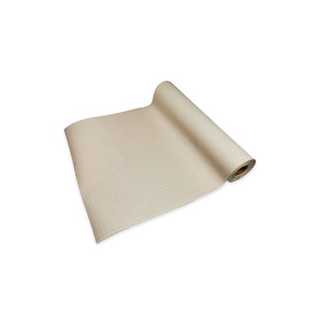 Papir EKG za cardiocare 2000 Bionet 215 x 20