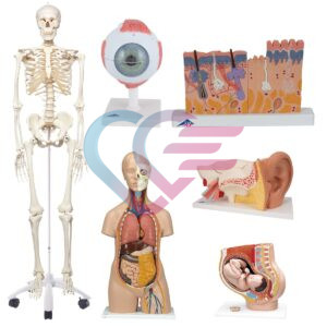 SET MODELA ŠKOLSKI