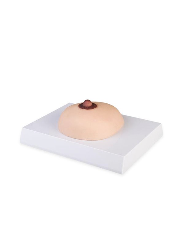 Model dojke za palpaciju raka dojke